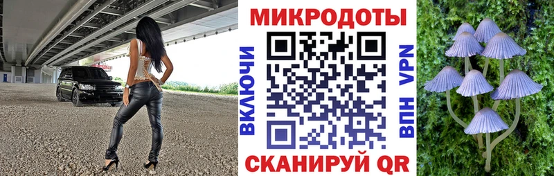 Галлюциногенные грибы Magic Shrooms  продажа наркотиков  Правдинск 